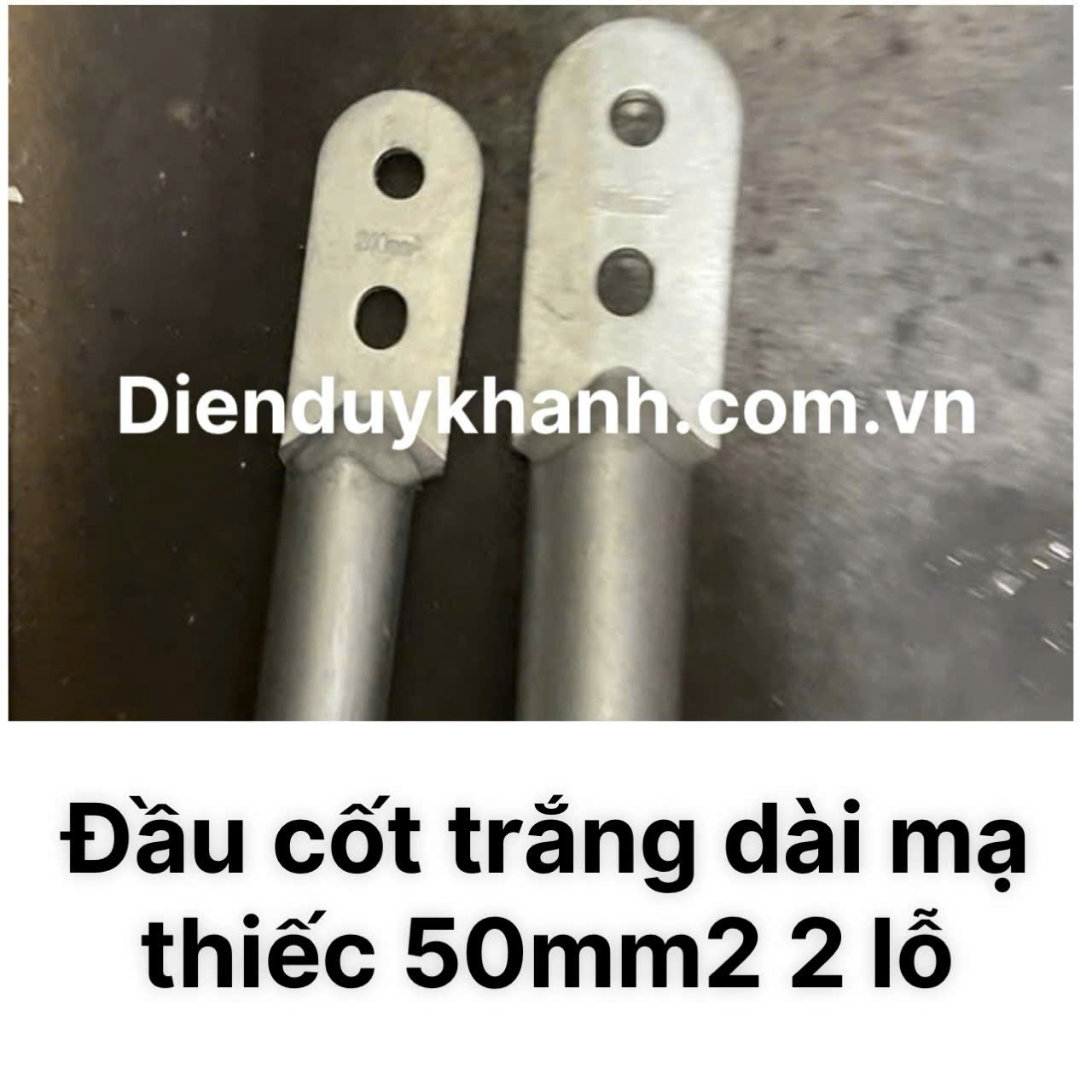 Đầu Cốt Đồng Mạ Thiếc 50mm2 2 Lỗ